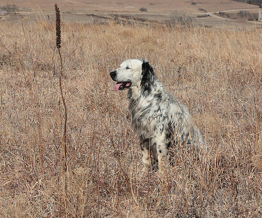 FlintHills (63 of 67)