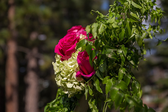 _MG_2289.jpg
