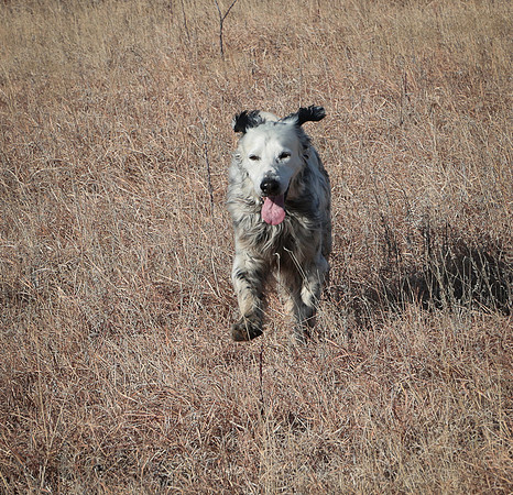 FlintHills (61 of 67)