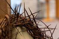 Ash Wednesday 2026 (2 of 63)