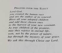 Elect (2 of 19)