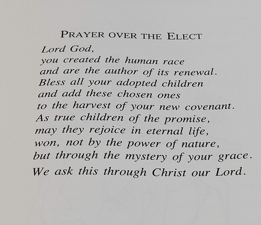 Elect (2 of 19)