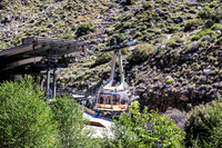PalmSprings_2026 (4 of 60)