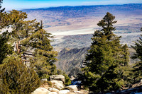 PalmSprings_2026 (11 of 60)