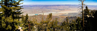 PalmSprings_2026 (14 of 60)