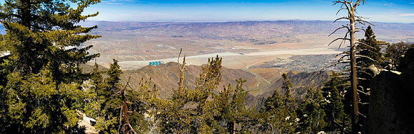 PalmSprings_2026 (14 of 60)