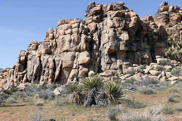 PalmSprings_2026 (24 of 60)