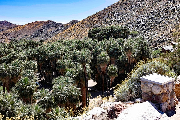 PalmSprings_2026 (55 of 60)