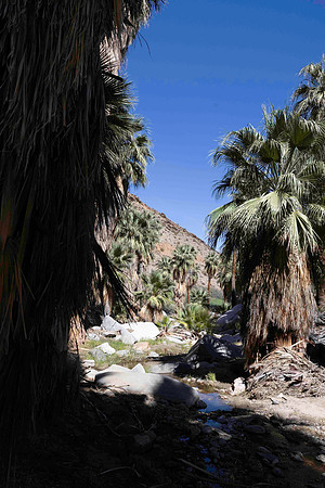 PalmSprings_2026 (60 of 60)