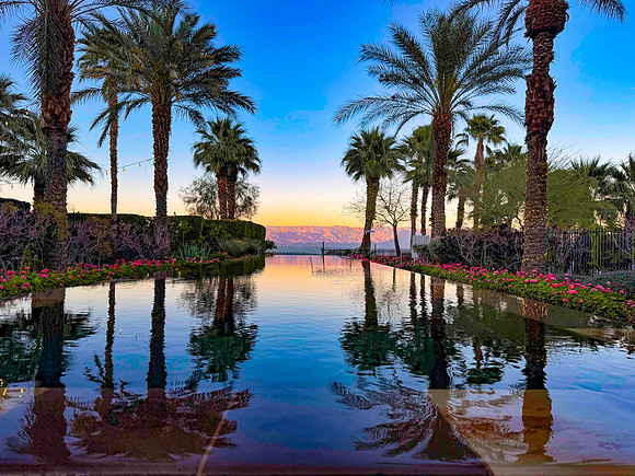 PalmSprings_2026 (1 of 4)