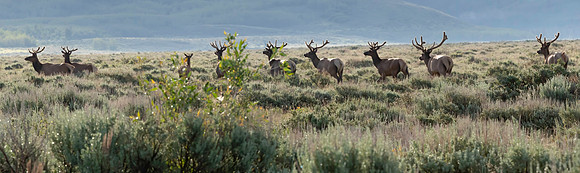 Wyoming_2026 (169 of 173)