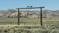 Wyoming_2026 (14 of 173)