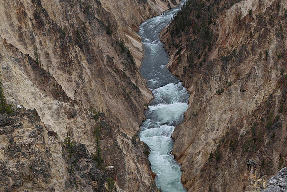 Wyoming_2026 (56 of 173)