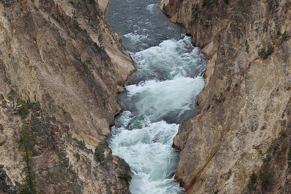 Wyoming_2026 (58 of 173)