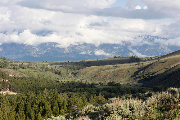 Wyoming_2026 (123 of 173)
