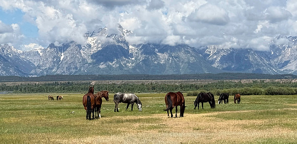 Wyoming_2026 (129 of 173)