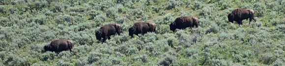 Wyoming_2026 (146 of 173)