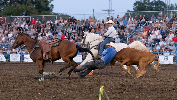 rodeo (12 of 55)