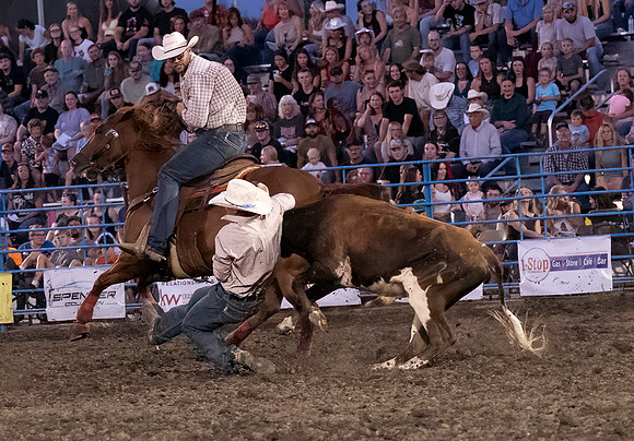rodeo (15 of 55)