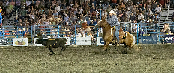rodeo (21 of 55)