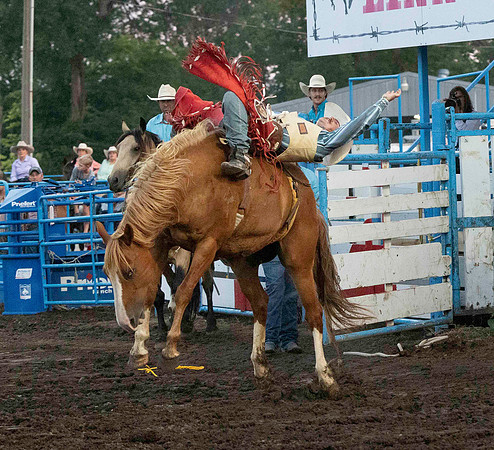 rODEO (29 of 70)