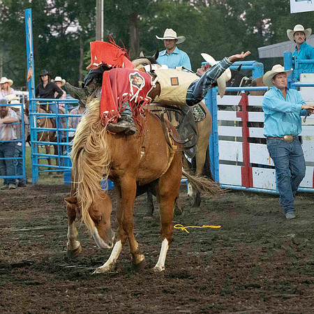 rODEO (31 of 70)