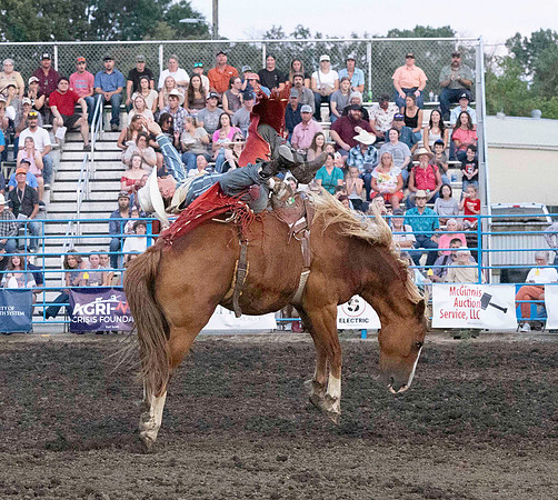 rODEO (36 of 70)