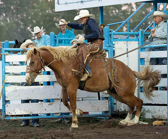rODEO (38 of 70)