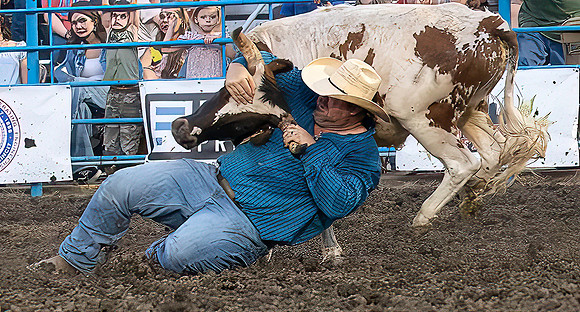 rODEO (52 of 70)