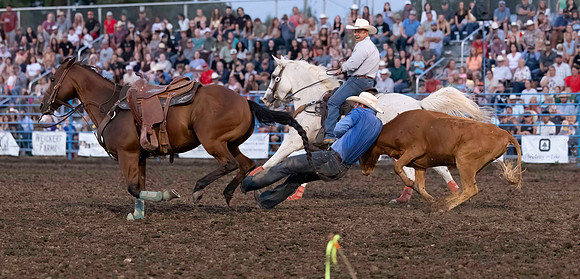 rODEO (53 of 70)