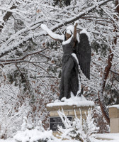 Nativity in the snow (12 of 18)