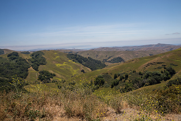 IMG_8012.jpg