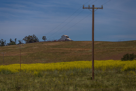 IMG_8150.jpg