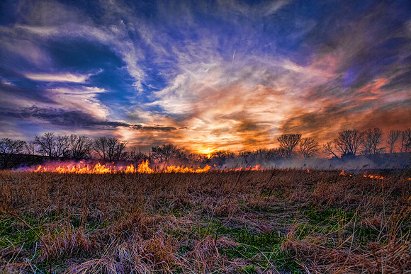 IMG_4879-Edit.jpg