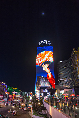 IMG_8384.jpg