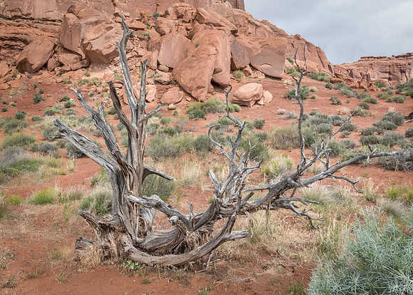 3Y9A4244-Edit.jpg