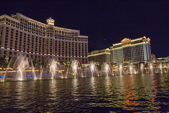 IMG_8454.jpg