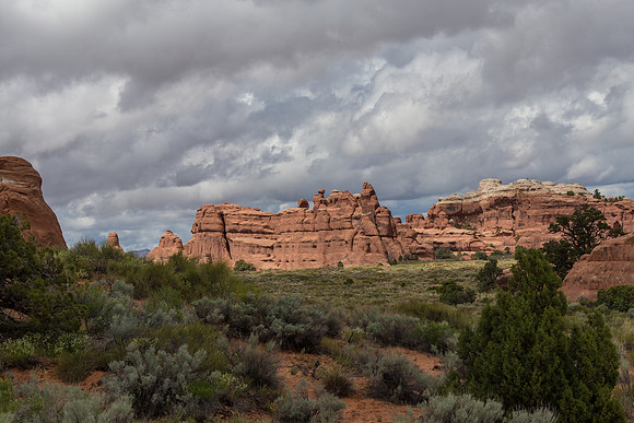 IMG_8690.jpg