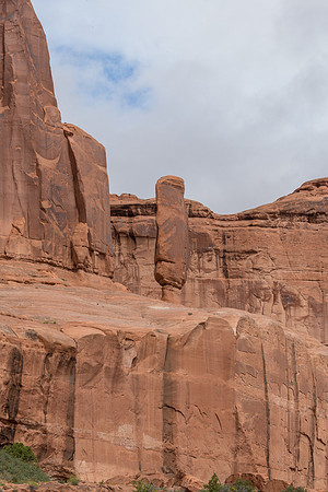 IMG_8584.jpg