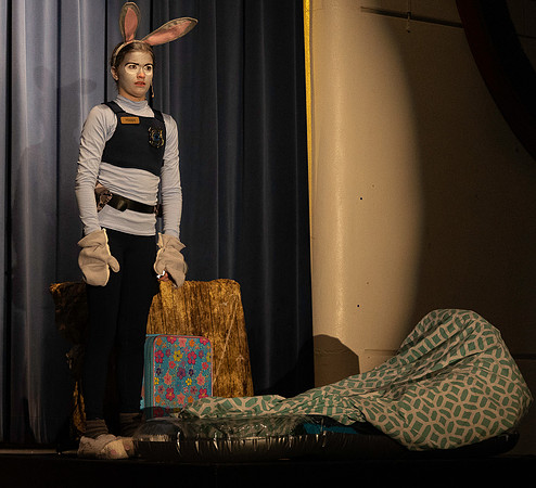 Zootopia (94 of 253)