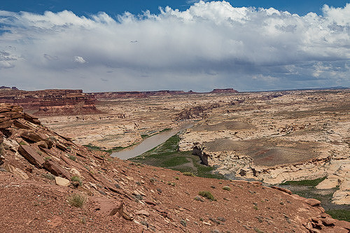 _Y9A0195.jpg