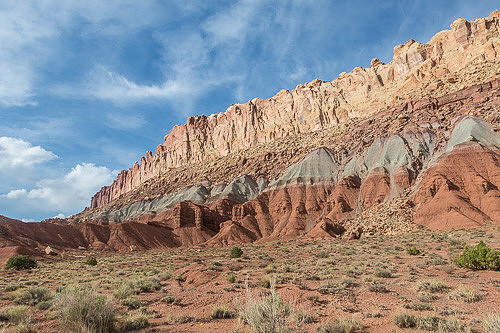 _Y9A0317.jpg