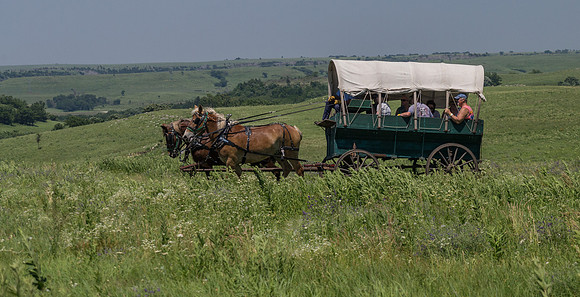 IMG_8179.jpg