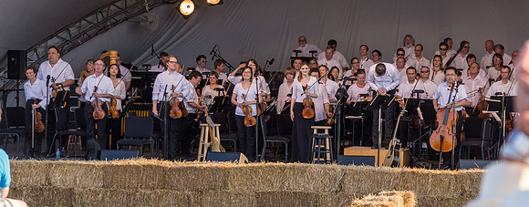 IMG_8377.jpg