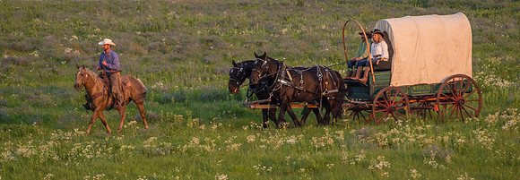 IMG_8457-Edit.jpg