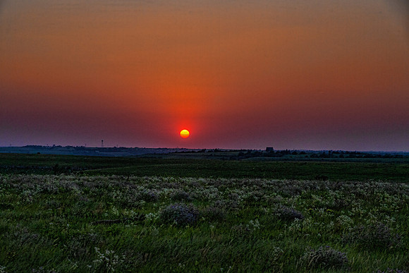 IMG_8527-Edit.jpg