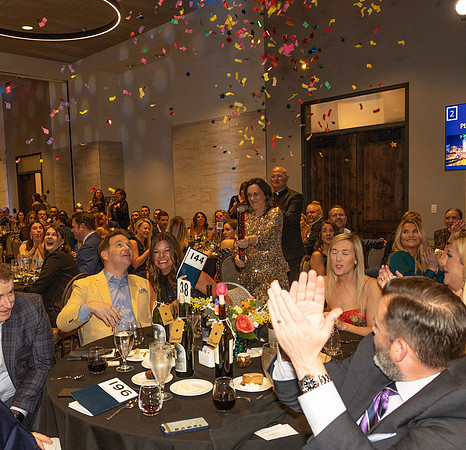 Auction 2024-8263