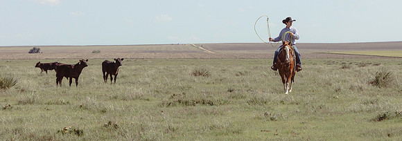 C31A5578