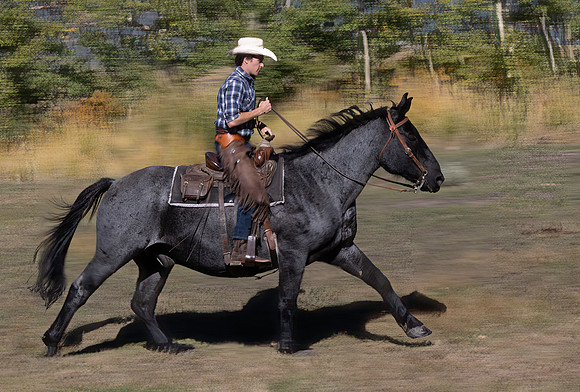 Absaroka--8