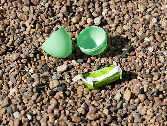 EggHunt (71 of 110)